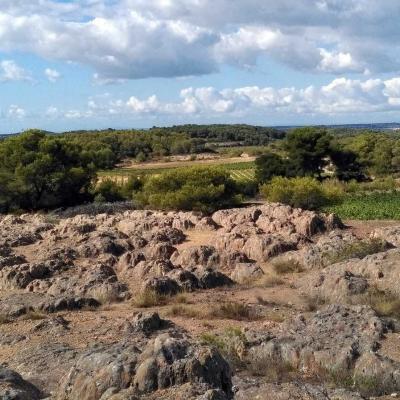 Occitanie Rando Randonnee Herault Castelnau De Guers Ermitage Saint Antoine 16