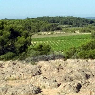 Occitanie Rando Randonnee Herault Castelnau De Guers Ermitage Saint Antoine 22