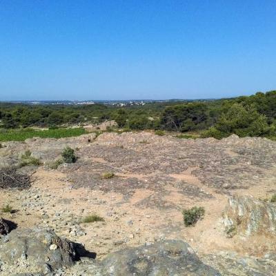 Occitanie Rando Randonnee Herault Castelnau De Guers Ermitage Saint Antoine 23