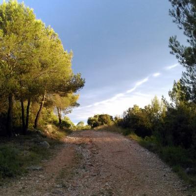 Occitanie Rando Randonnee Herault Murles Barons Caravettes 03