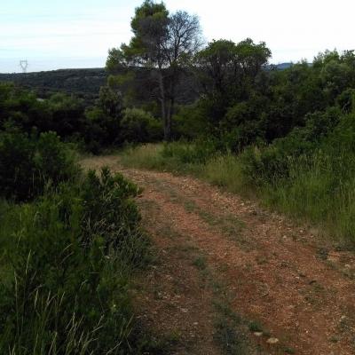 Occitanie Rando Randonnee Herault Murles Barons Caravettes 06