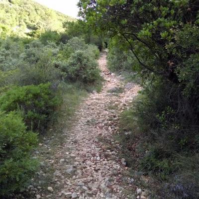 Occitanie Rando Randonnee Herault Murles Barons Caravettes 07