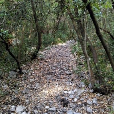 Occitanie Rando Randonnee Herault Murles Barons Caravettes 08