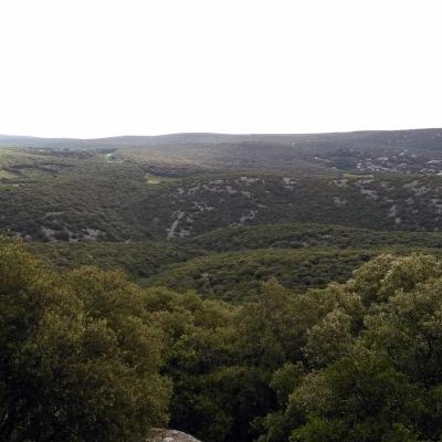 Occitanie Rando Randonnee Herault Murles Barons Caravettes 17