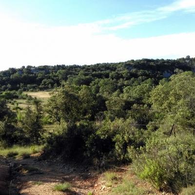 Occitanie Rando Randonnee Herault Murles Barons Caravettes 20