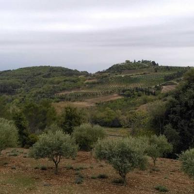 Occitanie Rando Randonnee Herault Nebian Tourelle Meule 56