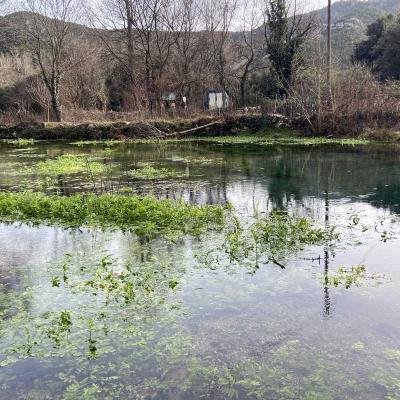 Occitanie Rando Trekking Herault Pegairolles Bueges Massif Seranne 03