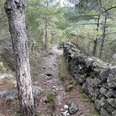 Occitanie Rando Trekking Herault Pegairolles Bueges Massif Seranne 11
