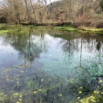 Occitanie Rando Trekking Herault Pegairolles Bueges Massif Seranne 47