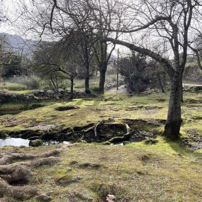 Occitanie Rando Trekking Herault Pegairolles Bueges Massif Seranne 49