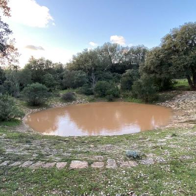 Occitanie Rando Randonnee Herault Puechabon Balcons Herault 08