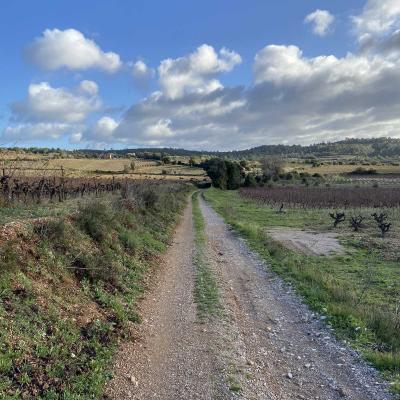 Occitanie Rando Randonnee Herault Puechabon Balcons Herault 22