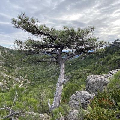 Occitanie Rando Trekking Tour Saint Guilhem Le Desert 151