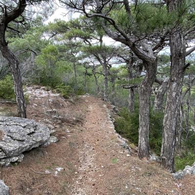 Occitanie Rando Trekking Tour Saint Guilhem Le Desert 166