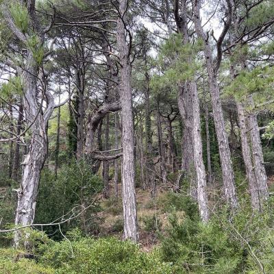 Occitanie Rando Trekking Tour Saint Guilhem Le Desert 175