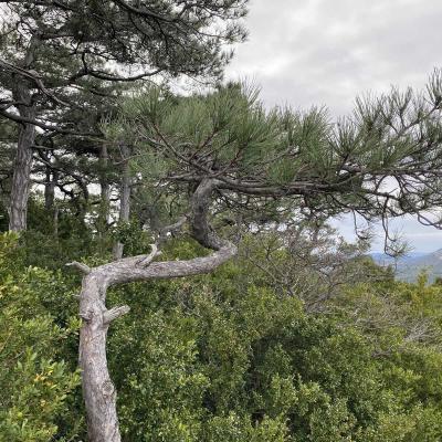 Occitanie Rando Trekking Tour Saint Guilhem Le Desert 24