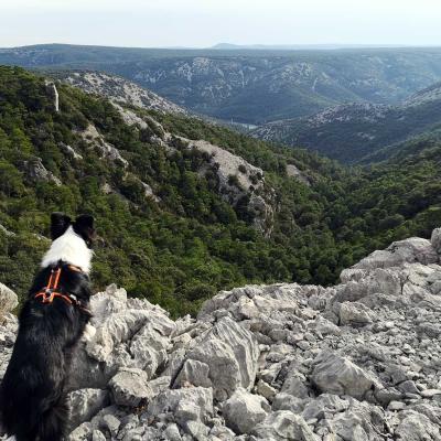 Occitanie Rando Trekking Tour Saint Guilhem Le Desert 41