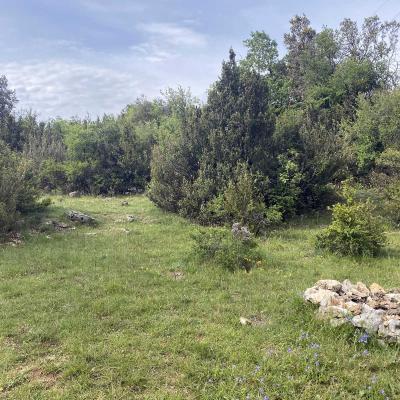 Occitanie Rando Trekking Herault Saint Jean De Bueges Peyre Martine 56