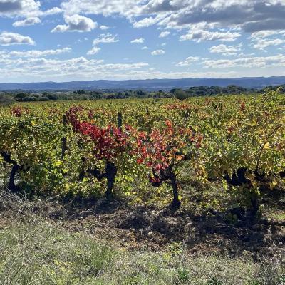 Occitanie Rando Randonnee Herault Saint Saturnin De Lucian Roc Deux Vierges 05