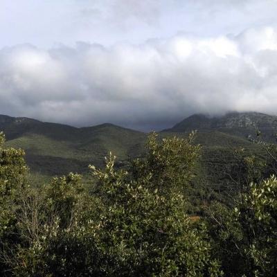 Occitanie Rando Randonnee Herault Saint Saturnin De Lucian Roc Deux Vierges 47