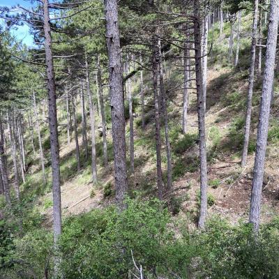 Occitanie Rando Randonnee Herault Gourgas Bout Du Monde Causse Larzac Grotte Vire 12