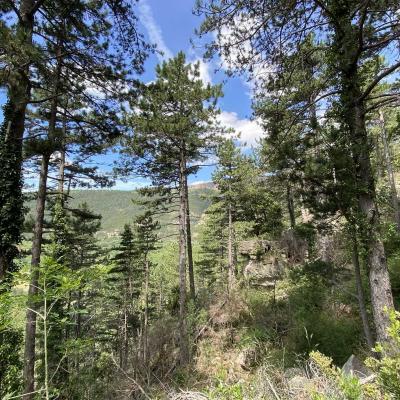 Occitanie Rando Randonnee Herault Gourgas Bout Du Monde Causse Larzac Grotte Vire 13