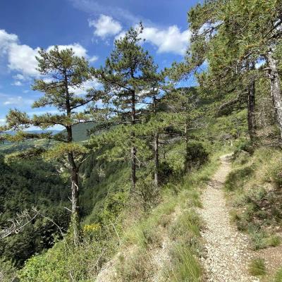 Occitanie Rando Randonnee Herault Gourgas Bout Du Monde Causse Larzac Grotte Vire 14