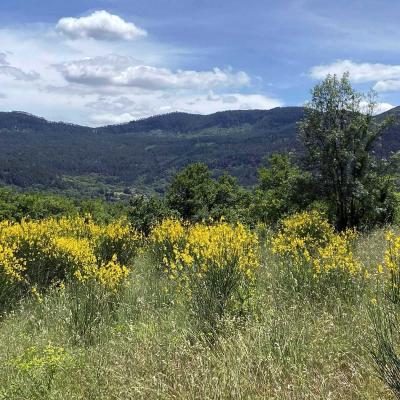 Occitanie Rando Randonnee Herault Gourgas Bout Du Monde Causse Larzac Grotte Vire 21