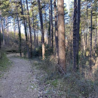 Occitanie Rando Randonnee Herault Causse Larzac Vacquerie Parlatges 04