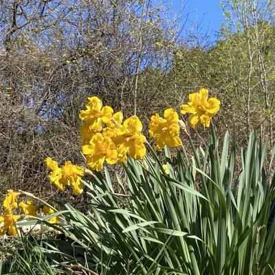 Occitanie Rando Randonnee Herault Causse Larzac Vacquerie Parlatges 11