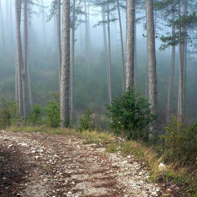 Occitanie Rando Randonnee Herault Causse Larzac Vacquerie Parlatges 28