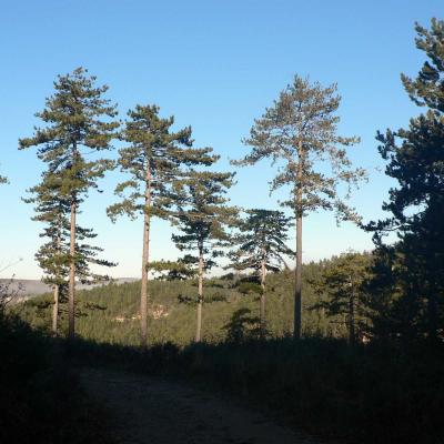 Occitanie Rando Randonnee Herault Causse Larzac Vacquerie Parlatges 34