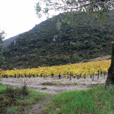Occitanie Rando Randonnee Herault Lauroux Corniche Cirque Abeil Lodevois 06