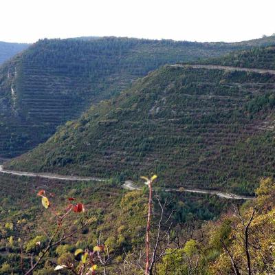 Occitanie Rando Randonnee Herault Lauroux Corniche Cirque Abeil Lodevois 16