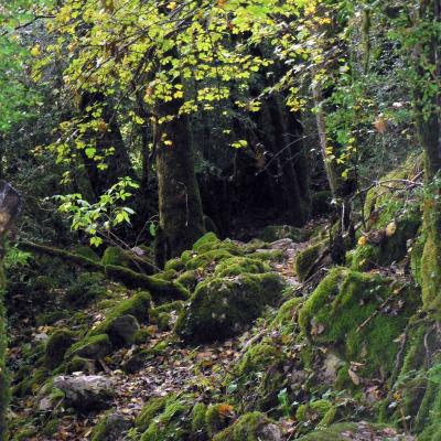 Occitanie Rando Randonnee Herault Lauroux Corniche Cirque Abeil Lodevois 19