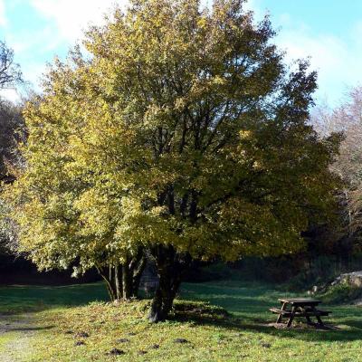Occitanie Rando Randonnee Herault Lauroux Corniche Cirque Abeil Lodevois 22