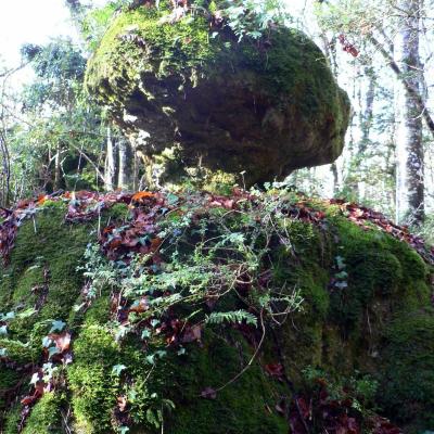 Occitanie Rando Randonnee Herault Lauroux Corniche Cirque Abeil Lodevois 25