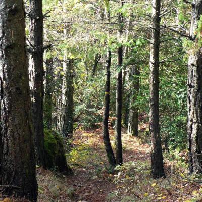 Occitanie Rando Randonnee Herault Lauroux Corniche Cirque Abeil Lodevois 27