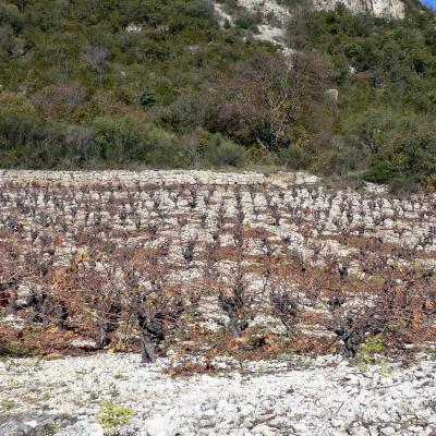 Occitanie Rando Randonnee Herault Lauroux Corniche Cirque Abeil Lodevois 31