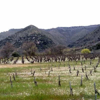 Occitanie Rando Randonnee Herault Lauroux Corniche Cirque Abeil Lodevois 34