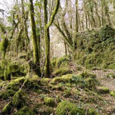 Occitanie Rando Randonnee Herault Lauroux Corniche Cirque Abeil Lodevois 37