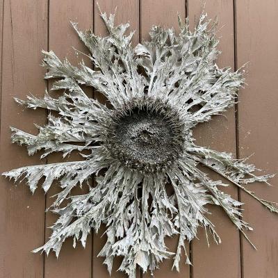 Occitanie Rando Randonnee Herault Caylar Plateau Larzac 06