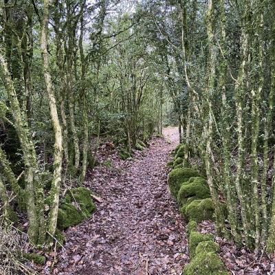 Occitanie Rando Randonnee Herault Caylar Plateau Larzac 13