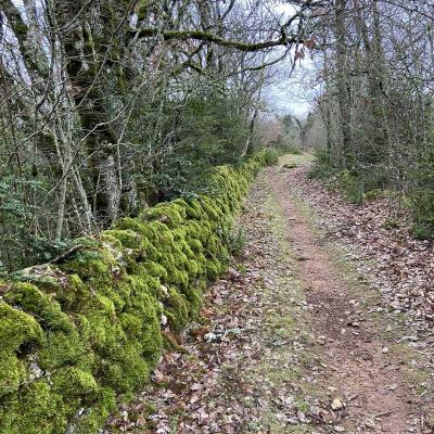 Occitanie Rando Randonnee Herault Caylar Plateau Larzac 14