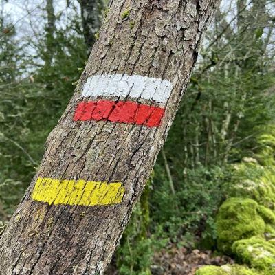 Occitanie Rando Randonnee Herault Caylar Plateau Larzac 15