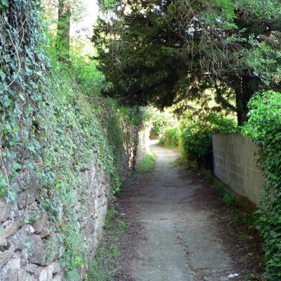 Occitanie Rando Randonnee Herault Plateau Grezac Lodve 03