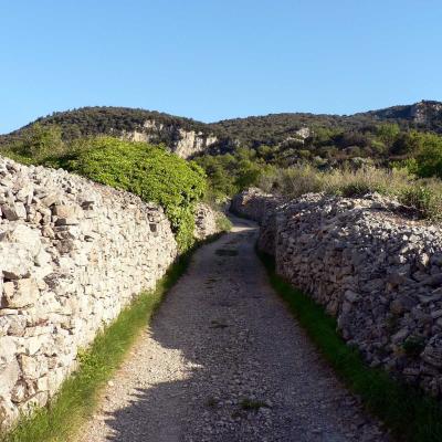 Occitanie Rando Randonnee Herault Plateau Grezac Lodve 05