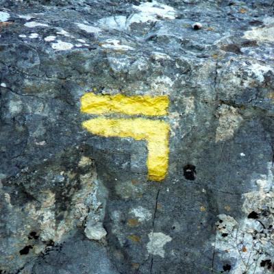 Occitanie Rando Randonnee Herault Plateau Grezac Lodve 06