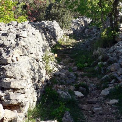 Occitanie Rando Randonnee Herault Plateau Grezac Lodve 07