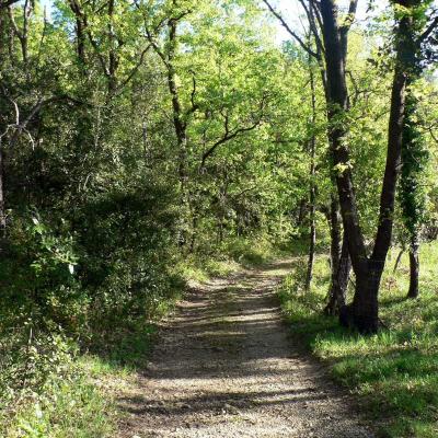 Occitanie Rando Randonnee Herault Plateau Grezac Lodve 10